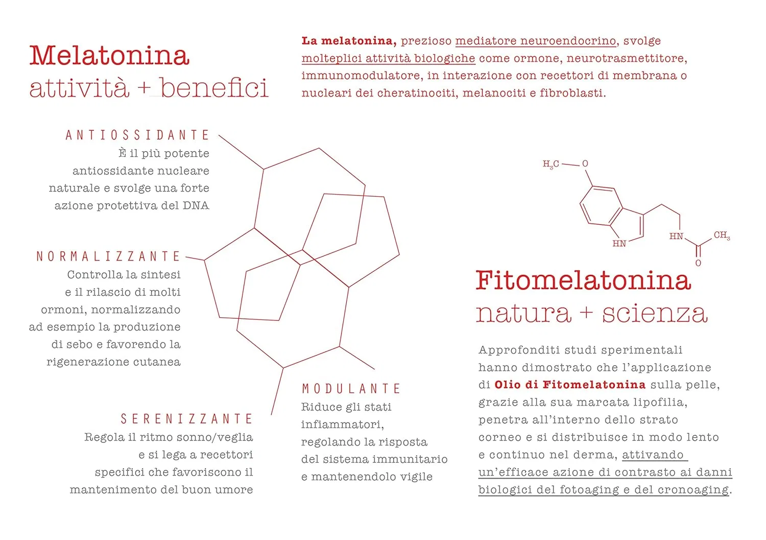 Крем для лица Fitomelatonina Balancing Purity, EFFEGILAB Scienza Natura Trentino, 50 мл Effegilab Scienza, Natura, Trentino. — фото 4