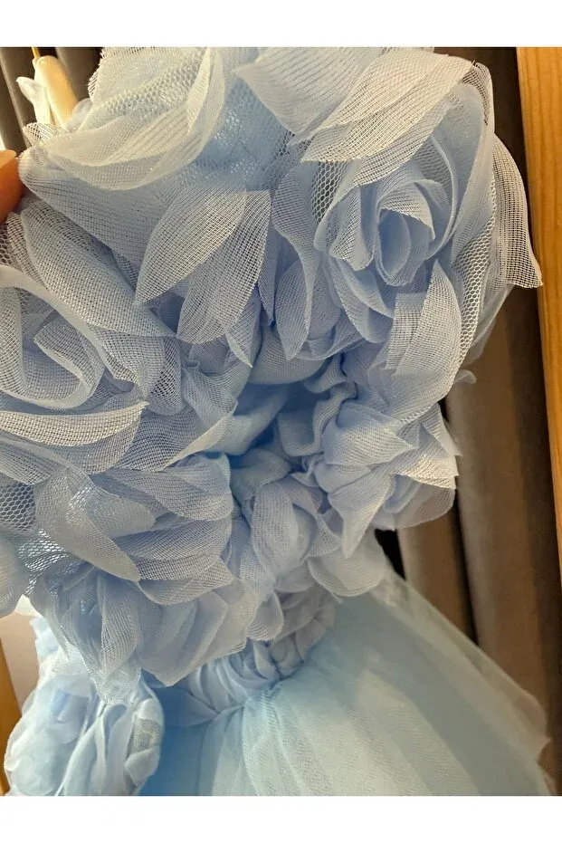 Детское платье для девочек с принтом Babyaden embossed floral balloon sleeve tulle bow detailed birthday party costume girl child dress Baby Aden, Blue — фото 4