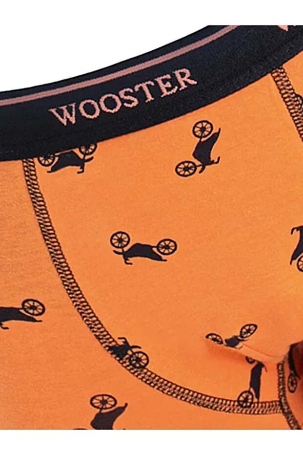Детские боксеры для мальчиков с принтом Wooster, Orange — фото 3