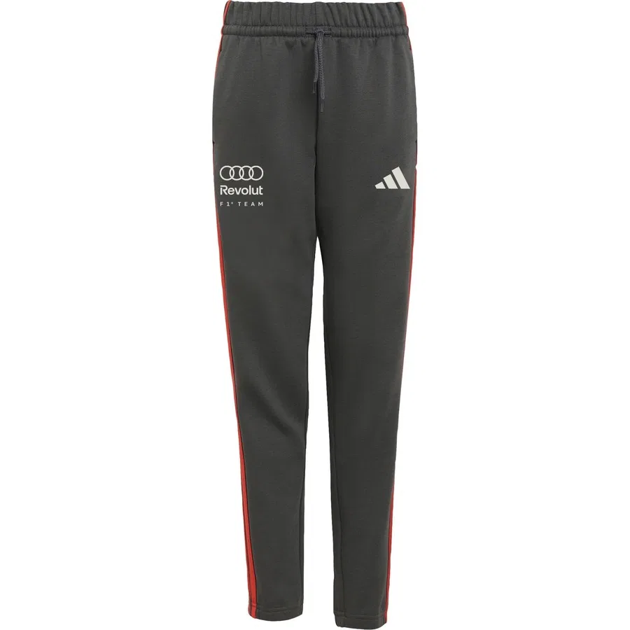 Спортивные брюки с принтом Audi Revolut F1 Team DNA adidas, Черный