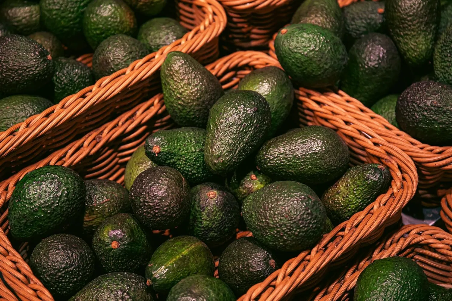 Масло для лица и тела Avocado Oil, PURE CHEMICAL by CHOSA, 1 л — фото 4
