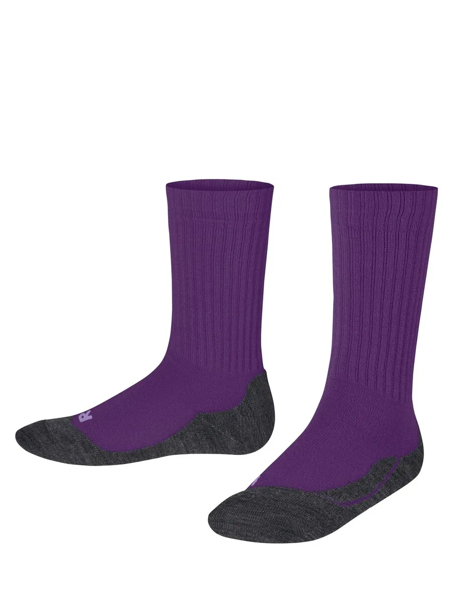 Носки FALKE 'Active Warm' сливового цвета