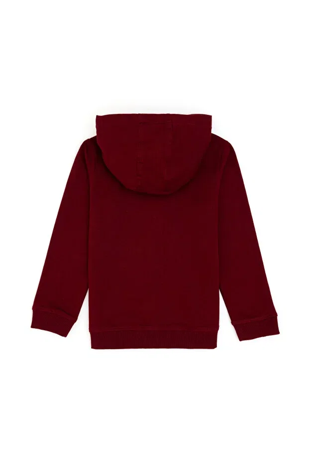 Детские свитшот с капюшоном на молнии U.S. Polo Assn., Burgundy — фото 4