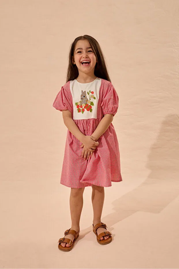 Детское платье для девочек с коротким рукавом Rabbit Embroidered Gingham Dress Fahhar Kids, Red — фото 4