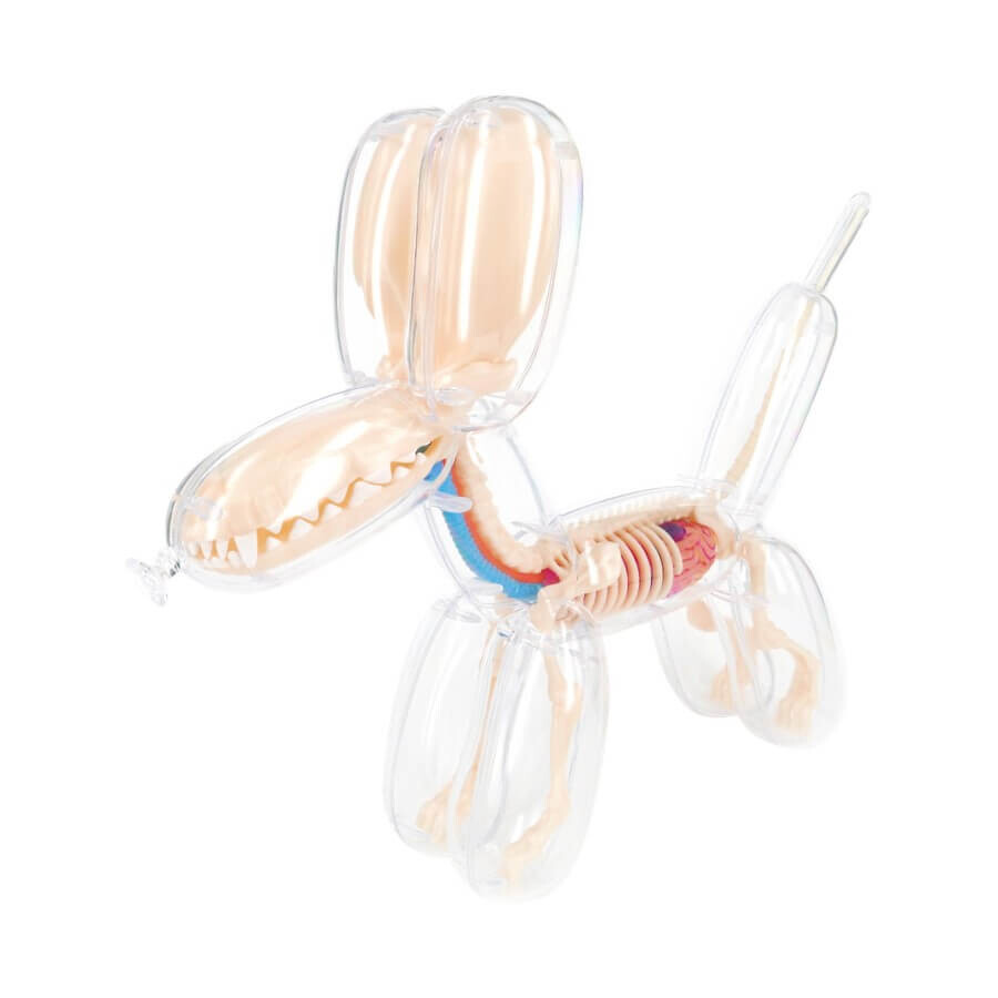 

Фигурка Jason Freeny 4D Master Funny Anatomy Balloon Dog, прозрачный
