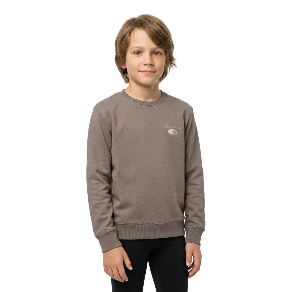 Свитшот Graphic Dover Jack & Jones, коричневый — фото 3