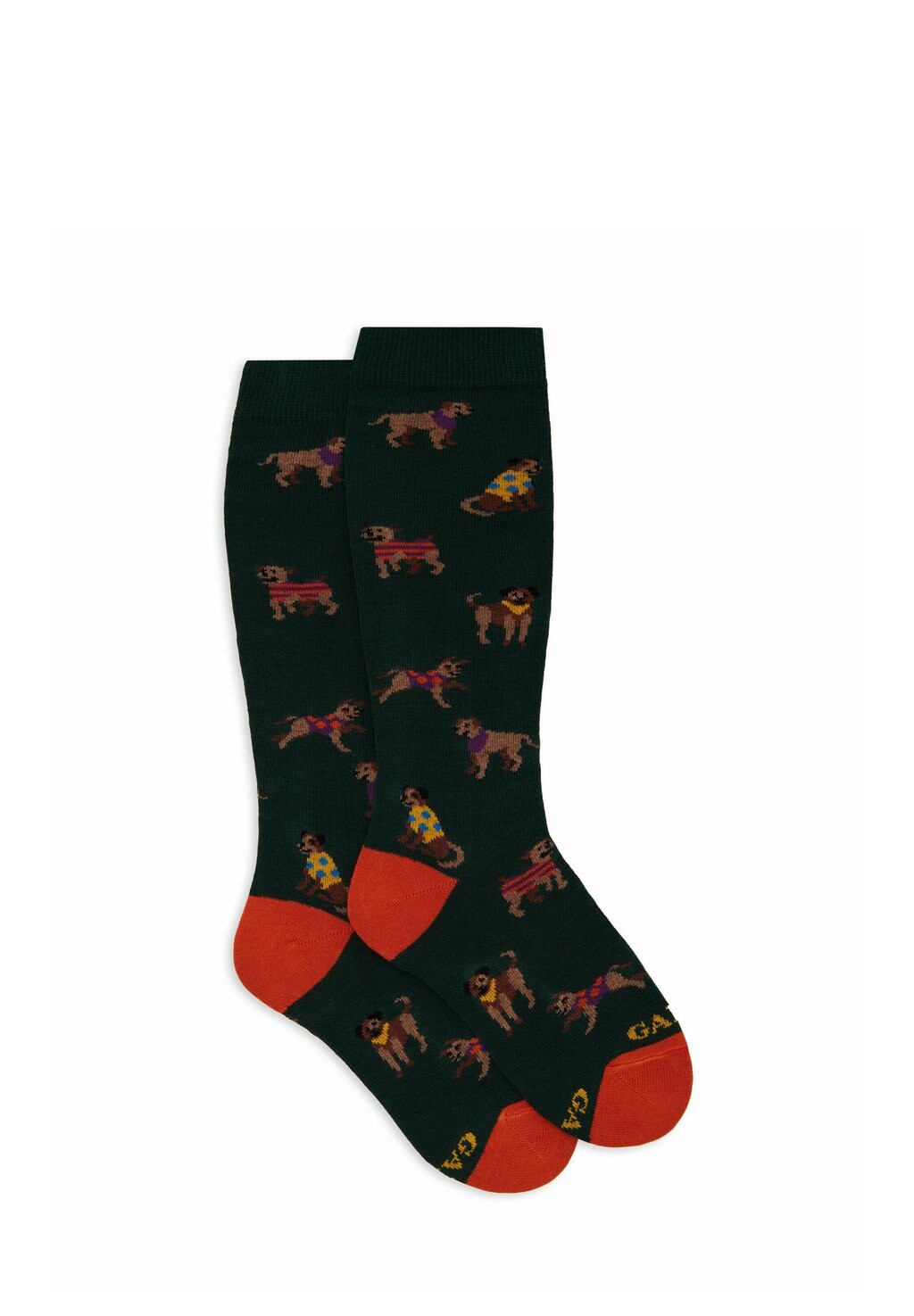 

Носки WITH DOG MOTIF Gallo, зеленый