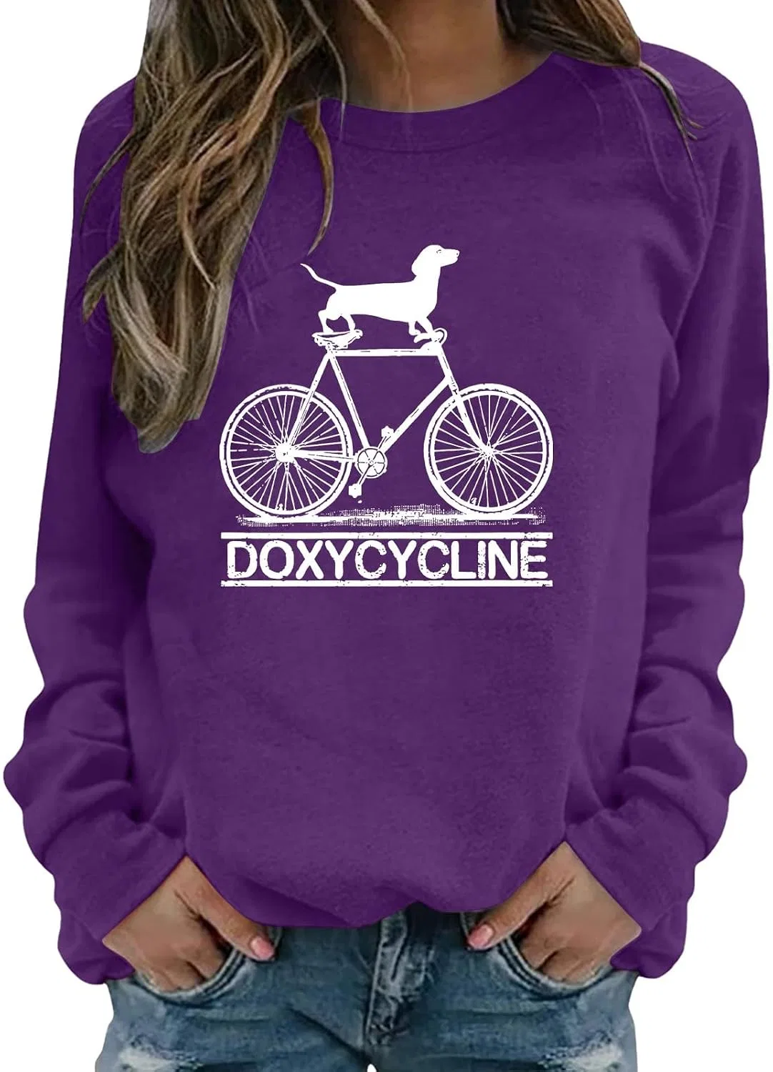 Женский свитшот-худи с принтом Doxycycline Dachshund, фиолетовый