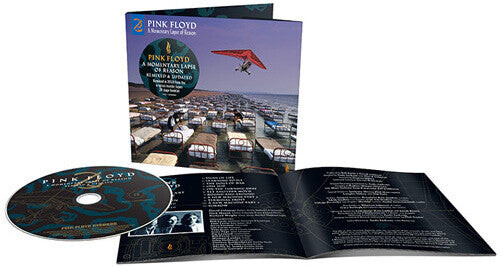 

CD диск Pink Floyd: A Momentary Lapse Of Reason