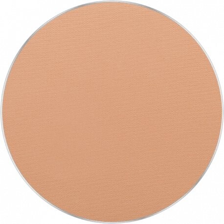 

Прессованная пудра FREEDOM SYSTEM Perfect Finish 13, INGLOT