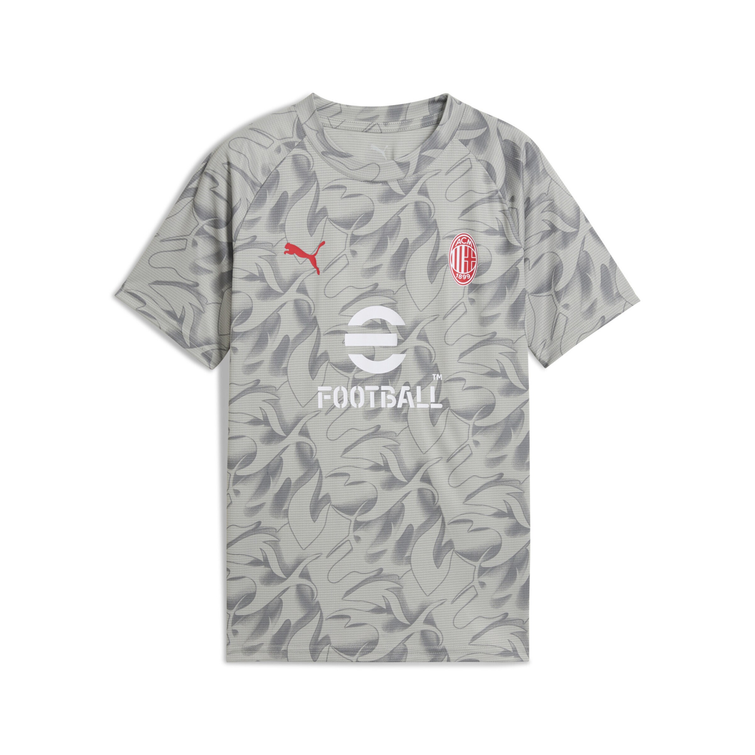 

PUMA Футболка Performance 'AC Milan' в цвете Grey, Dark Grey