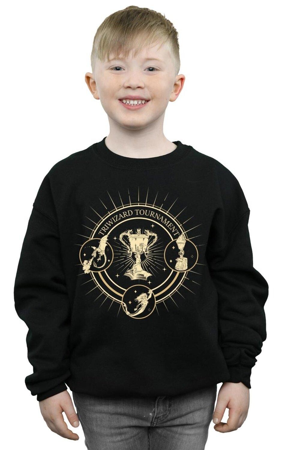 

Толстовка Triwizard Seal Harry Potter, черный