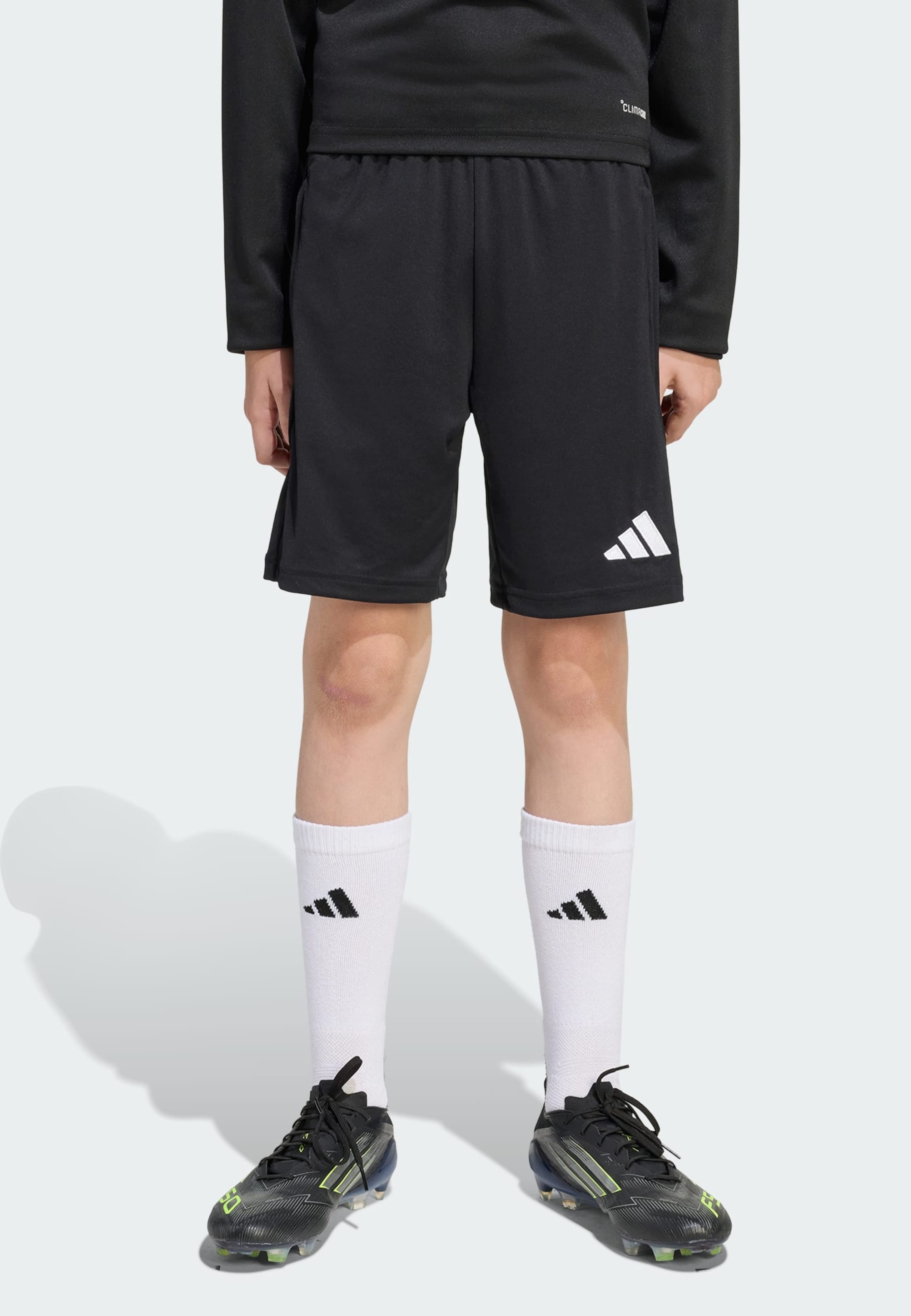 Adidas Performance Шорты для тренировок Regular 'Entrada26' в черном цвете — фото 2
