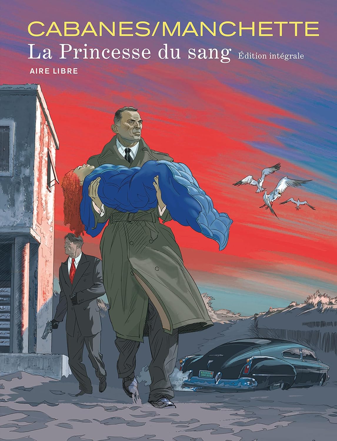 

La princesse du sang intégrale - Tome - La princesse du sang intégrale (French Edition) (DUPUIS)
