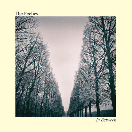 

Виниловая пластинка Feelies: In Between