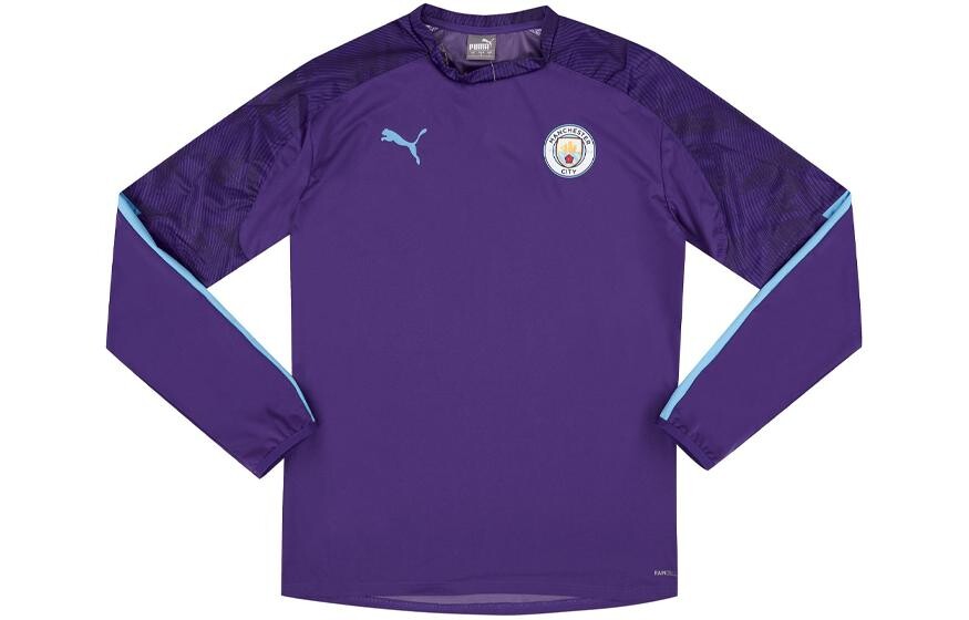 

Футболка Manchester City мужская фиолетовая Puma, фиолетовый