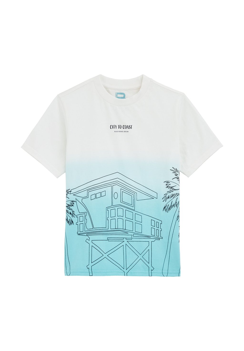 

Футболка с принтом BLUE RIDGE WE Fashion, бирюзовый