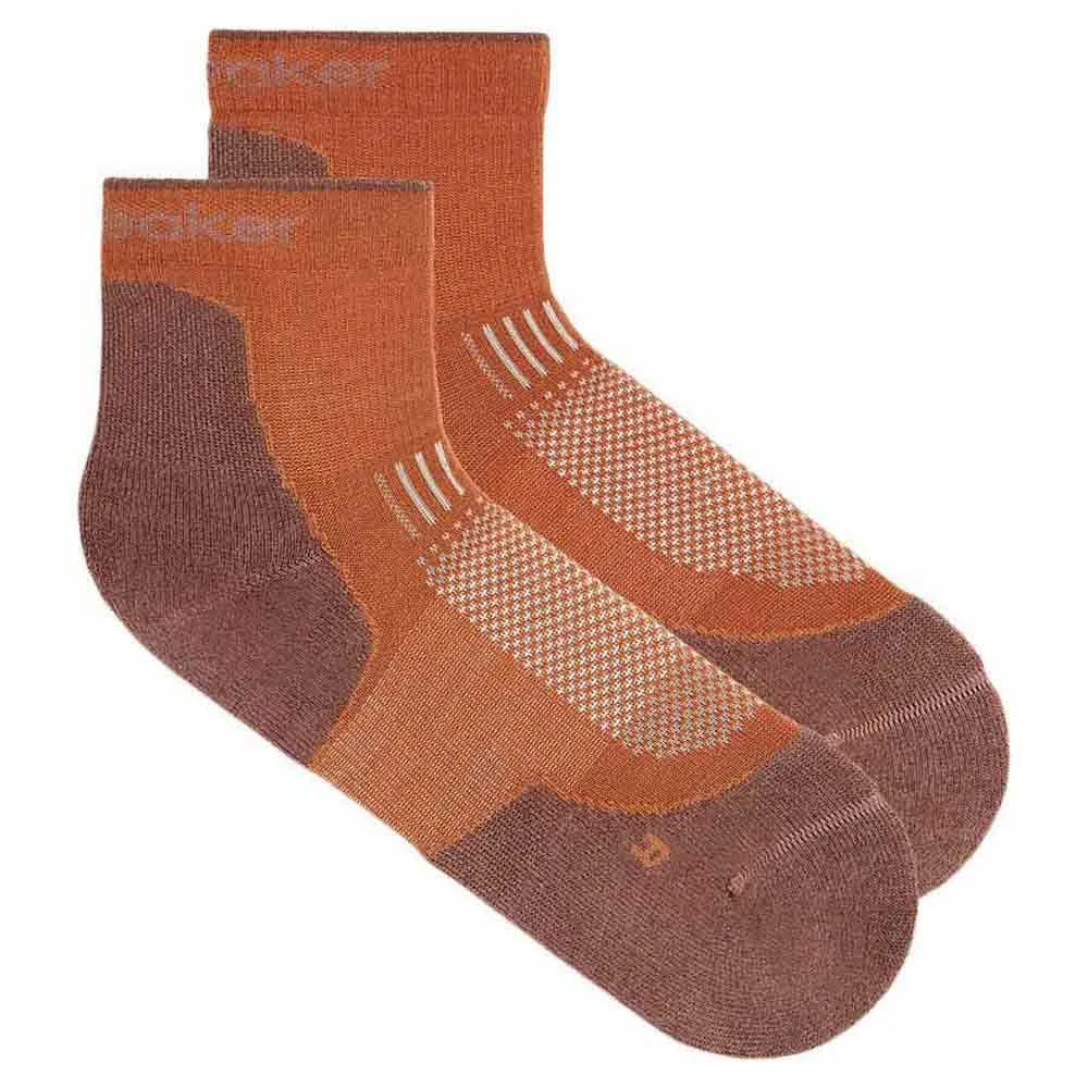 

Носки Icebreaker Merino Hike+ Light Mini, оранжевый