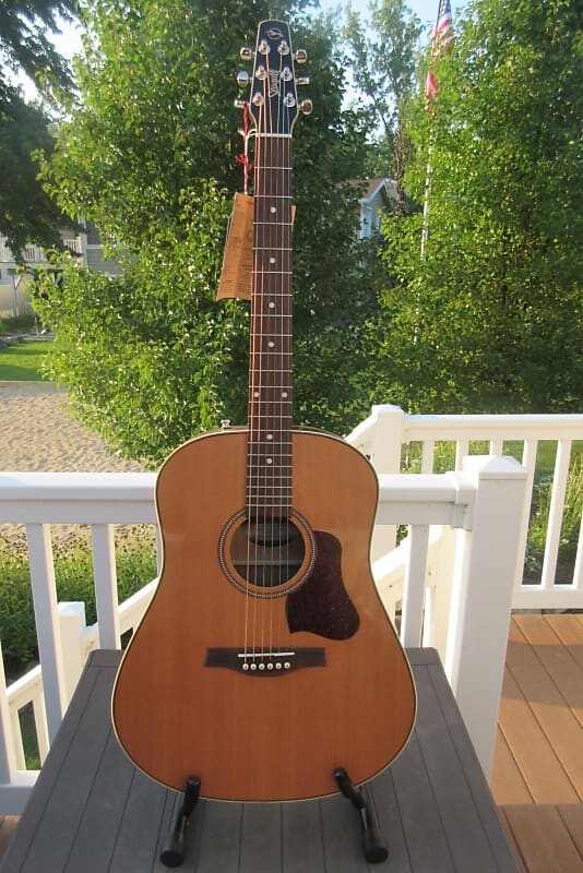 

Акустическая гитара Seagull Coastline Momentum HG A/E with Gig Bag