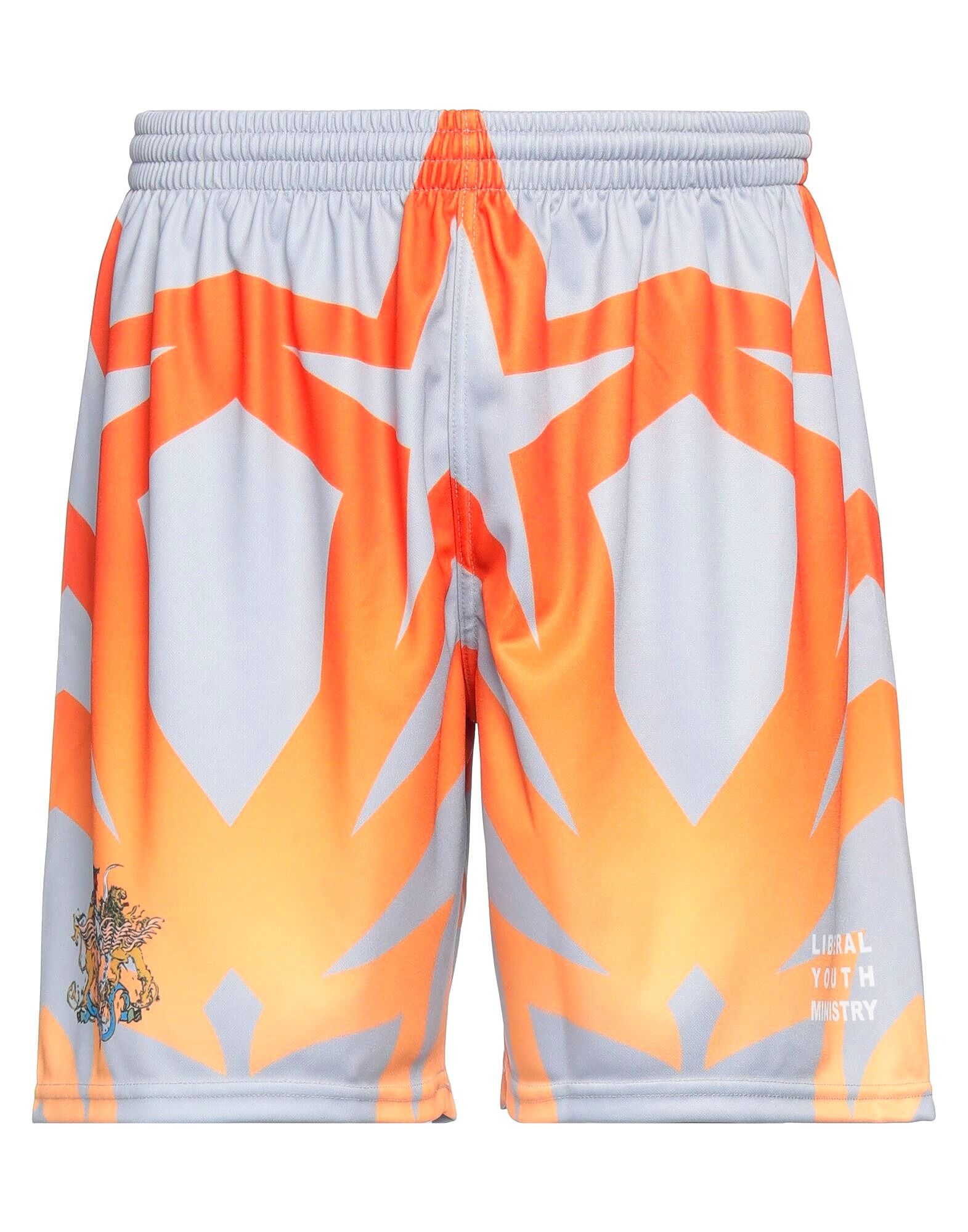 

Спортивные шорты Liberal Youth Ministry, серый
