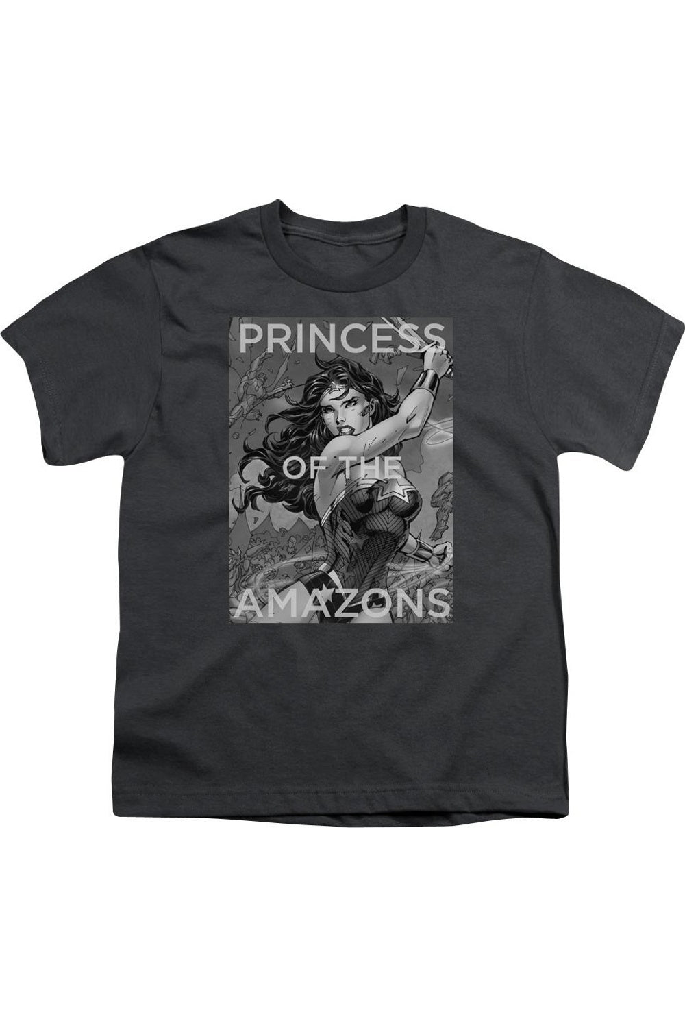 

Футболка с коротким рукавом для детей "Принцесса амазонок" Justice League of America Gildan, Charcoal
