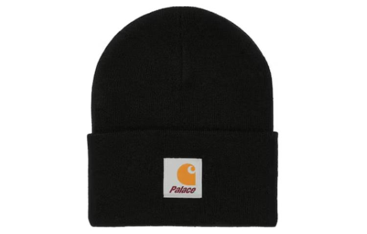 

X Carhartt WIP Watch Hat PALACE
