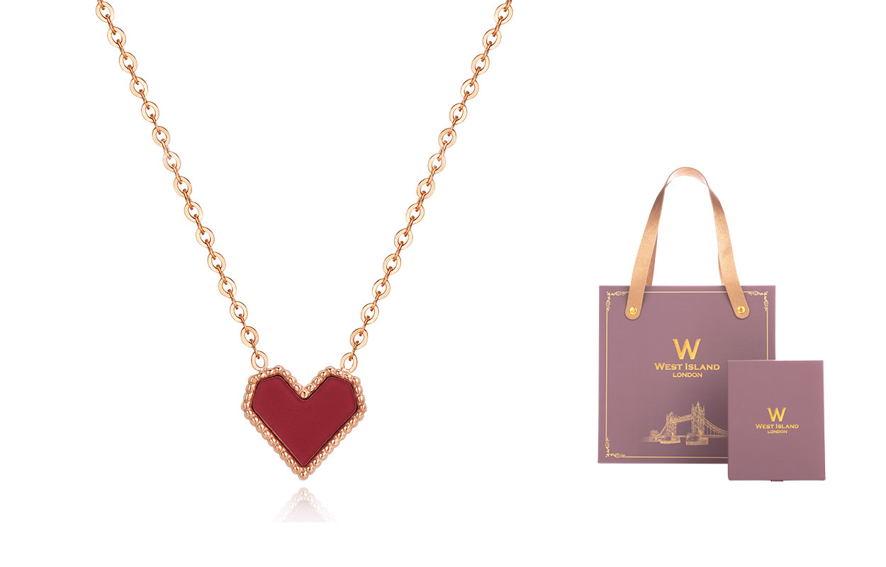 

Высококачественный экологичный титановый стальной ошейник-цепочка для женщин West Island, Box Limited Edition