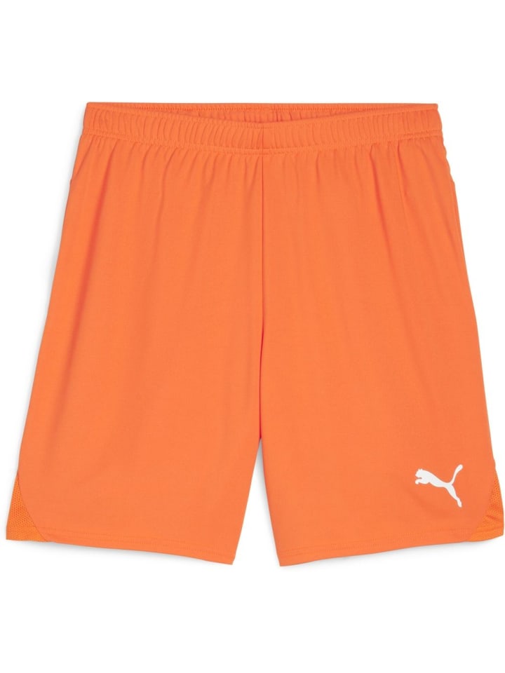 

Спортивные шорты TeamGoal Shorts оранжевого цвета Puma