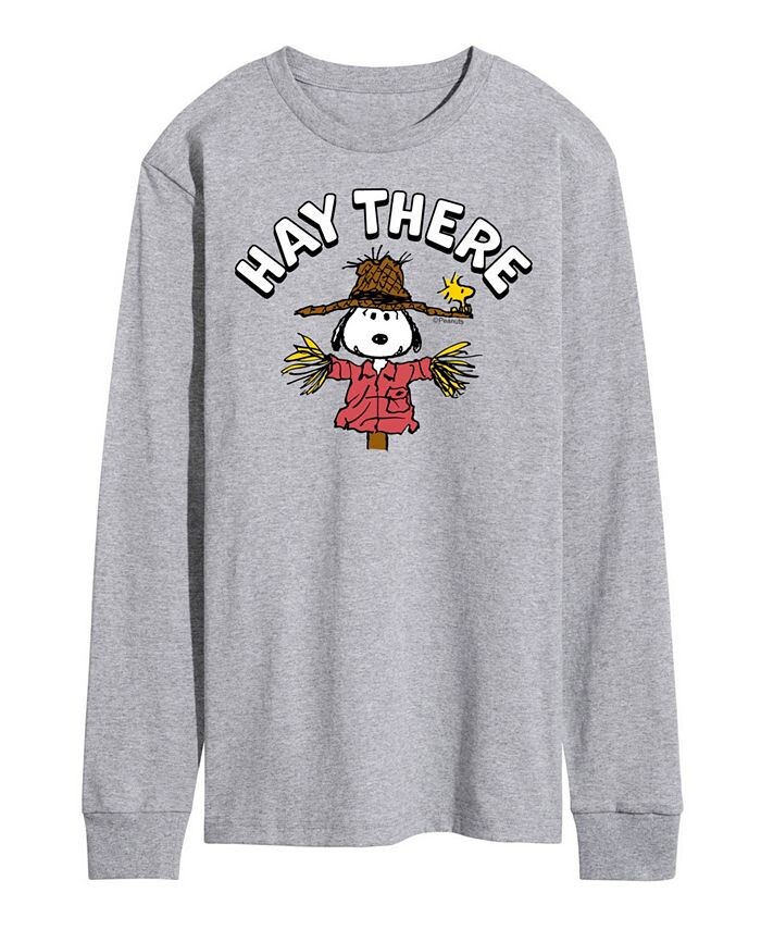 

Мужская футболка Peanuts Hay There AIRWAVES, серый