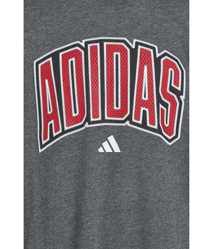 Футболка Collegiate Arch Heather Tee Adidas Kids, Dark Grey Heather — фото 3