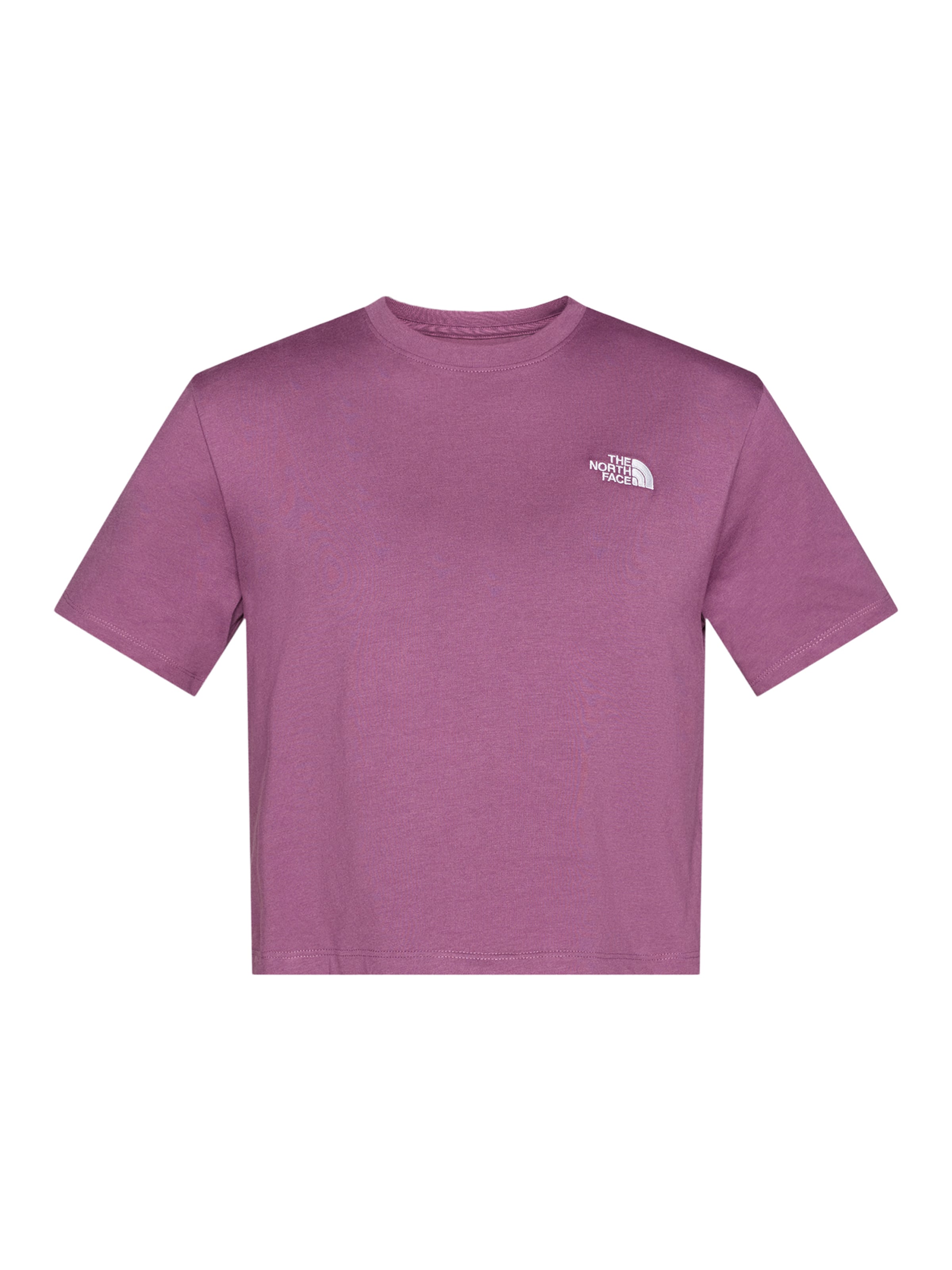 

THE NORTH FACE Футболка 'EVOLUTION SIMPLE DOME' в цвете Purple