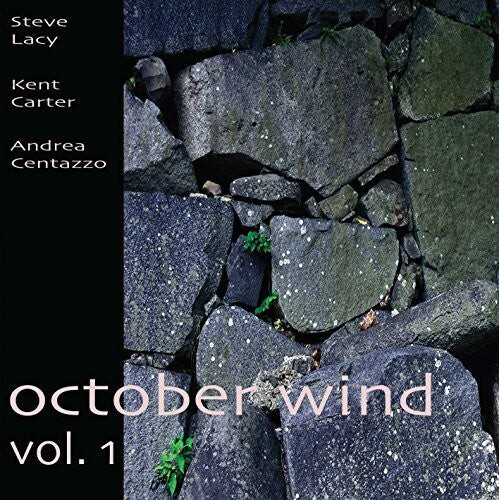

CD диск Lacy, Steve / Carter, Kent / Centazzo, Andrea: October Wind Vol 1