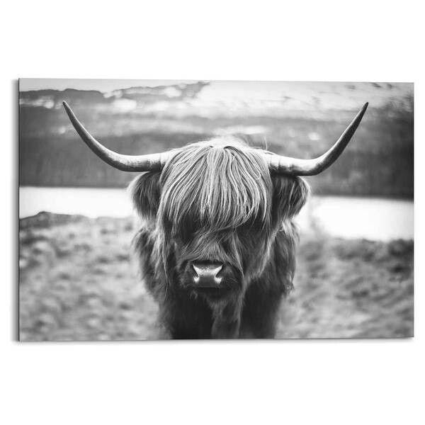 

Фреска Reinders Schottische Hochlandrind Stier, черный