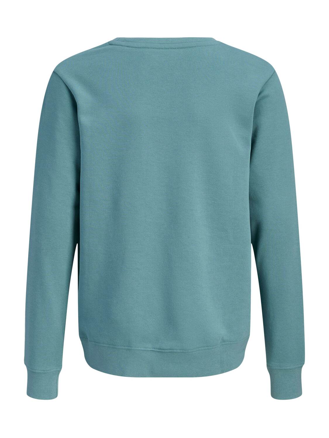 Jack & Jones Junior Толстовка 'JJCOLE' в изумрудном цвете — фото 2