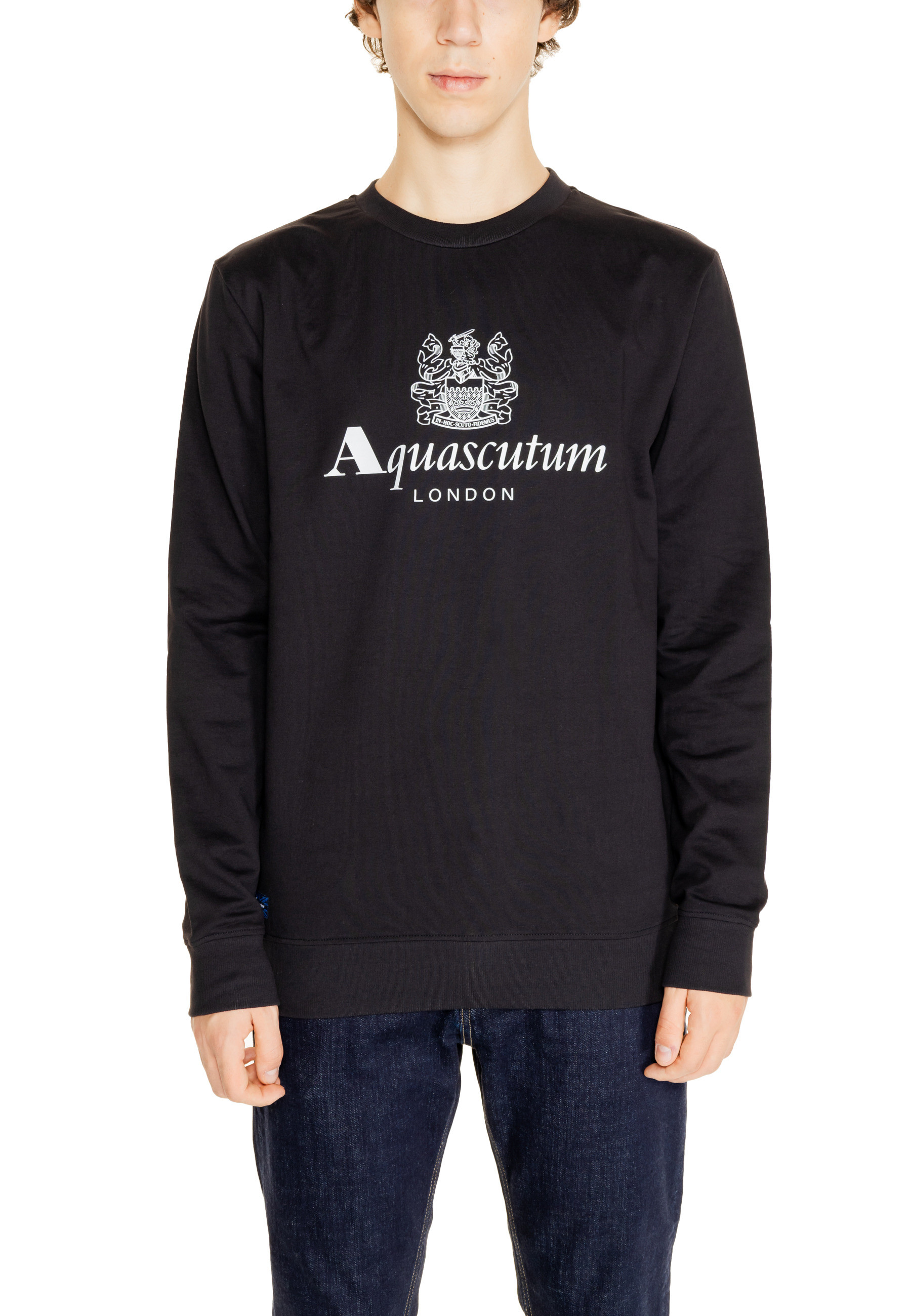

Толстовки Aquascutum