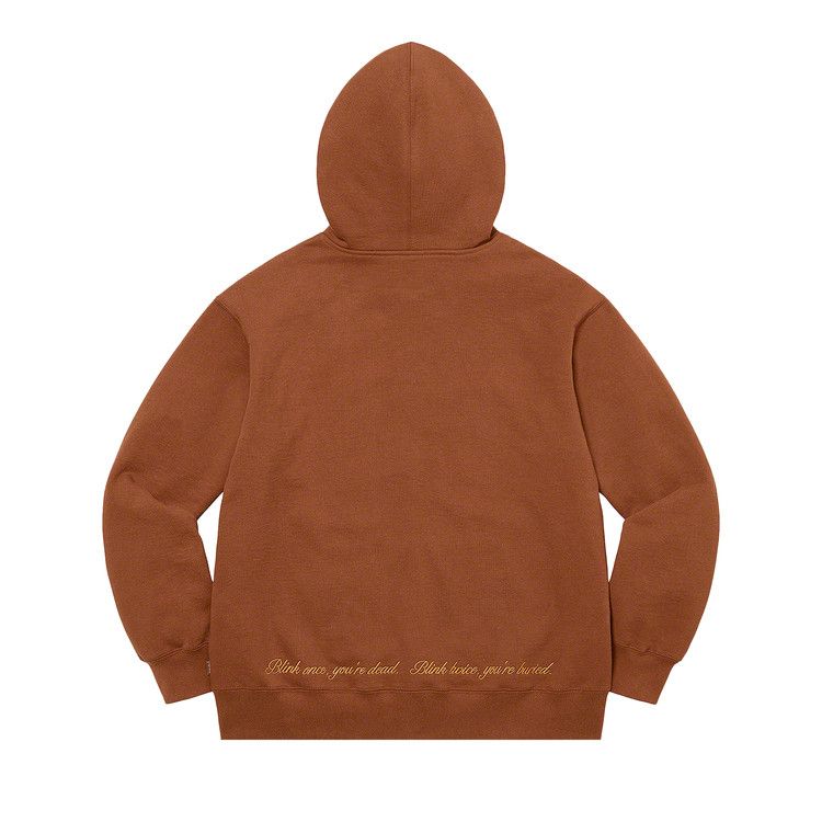 Толстовка Supreme Aeon Flux Zip Up Hooded Sweatshirt, Brown — фото 2