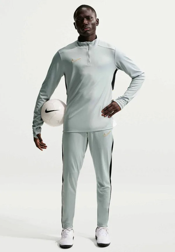 Спортивные штаны академии Nike Performance, Light Smoke Grey White Black Metallic Gold