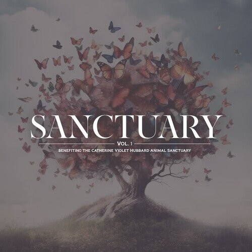

Виниловая пластинка Sanctuary Vol. 1 / Various
