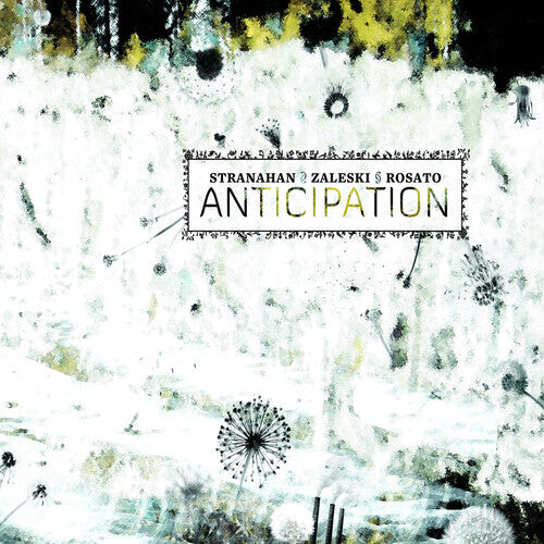 

CD диск Stranahan, Zaleski / Rosato: Anticipation