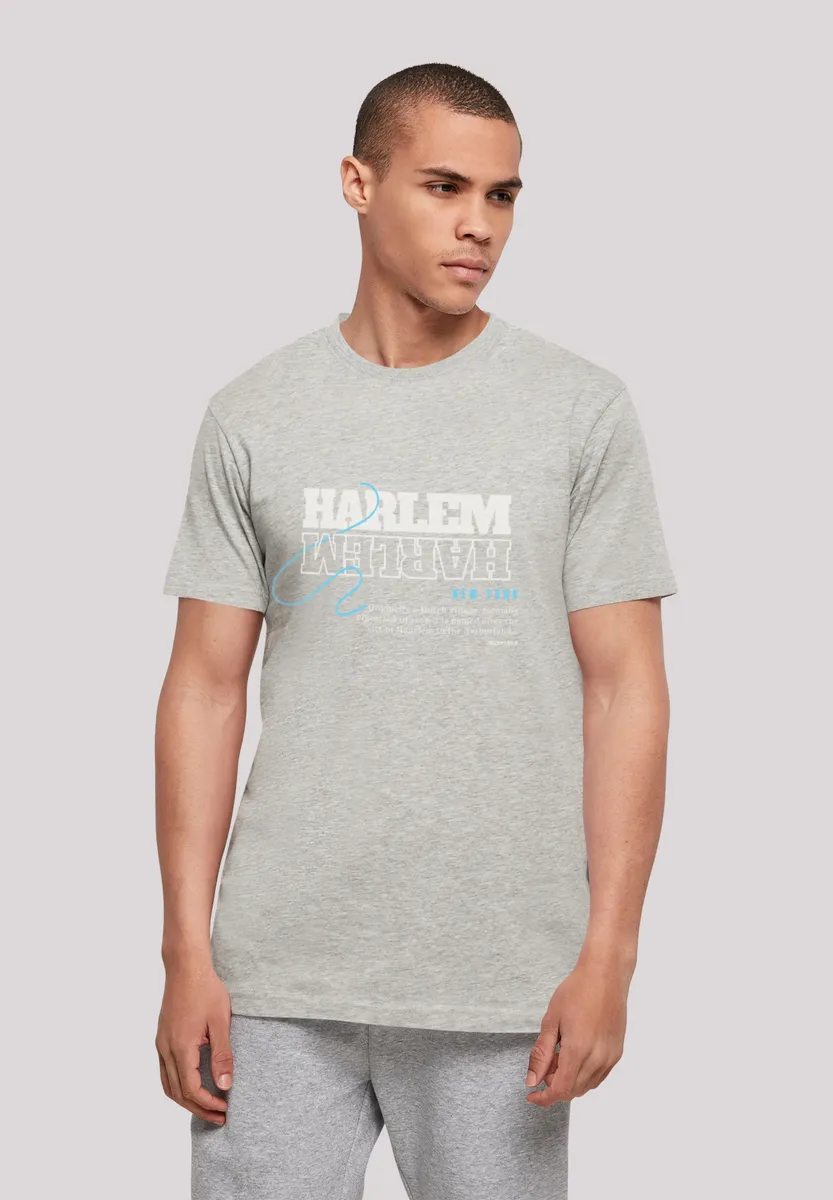 

F4NT4STIC Футболка "Harlem TEE UNISEX", принт, серый