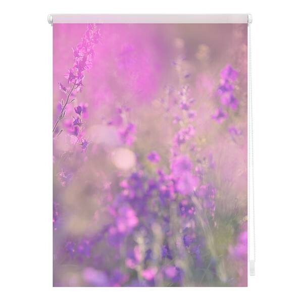 

Затемняющие рулонные шторы Lichtblick Blumenwiese, 70x150x6 см цвет fuchsia/violett