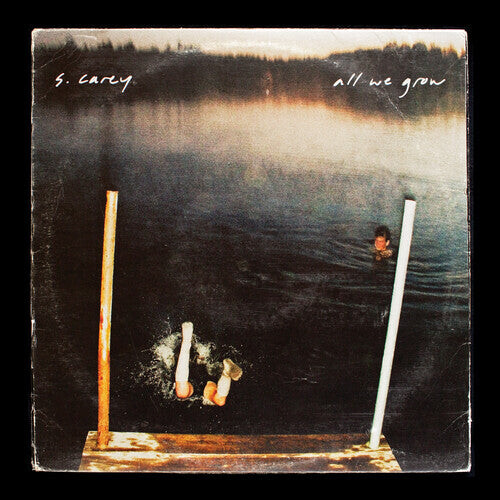 

Виниловая пластинка S. Carey: S. Carey 'All We Grow (Ten Year Anniversary Edition)
