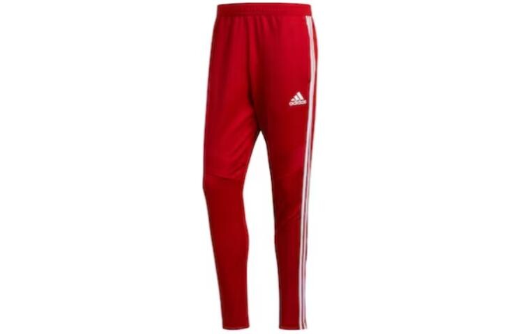 

Тренировочные брюки Tiro 19 Adidas, красный
