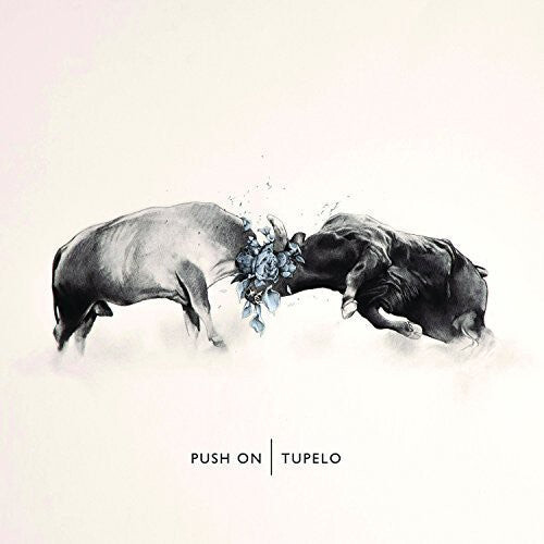 

CD диск Tupelo: Push on