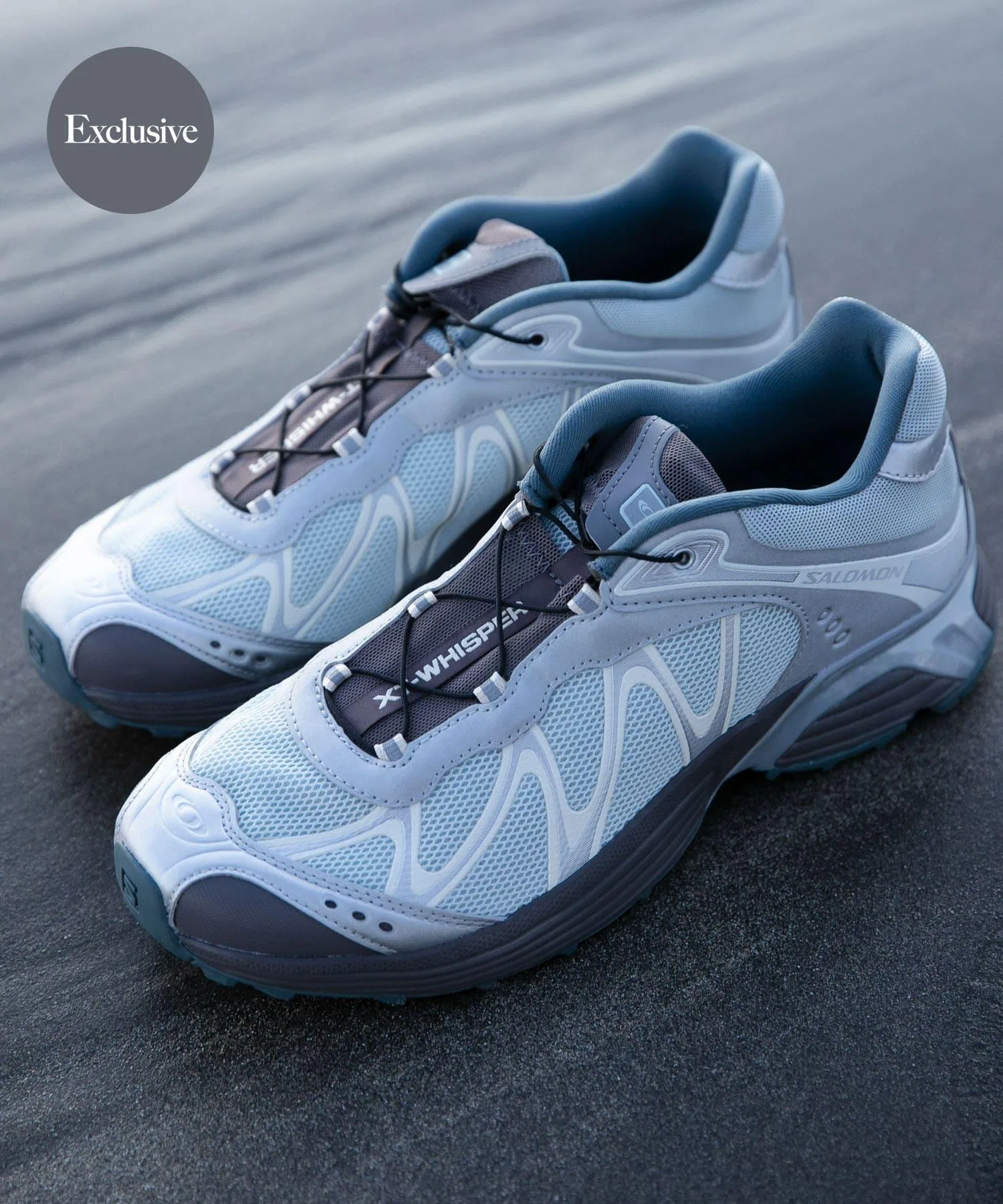 Мужские кроссовки SALOMON EXCLUSIVE XT-WHISPER серые