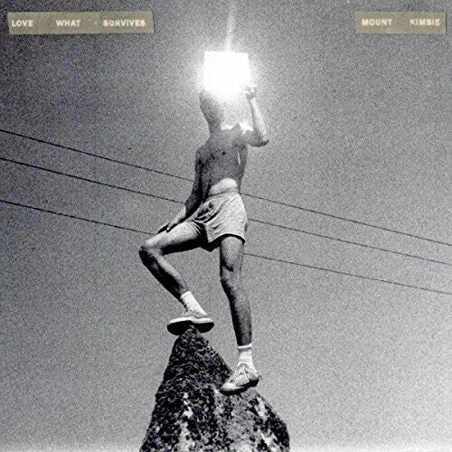 

Виниловая пластинка Mount Kimbie: Love What Survives