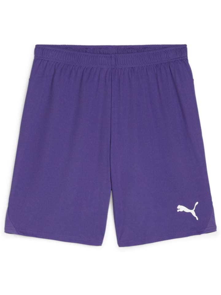 

Спортивные шорты TeamGoal Shorts фиолетового цвета Puma