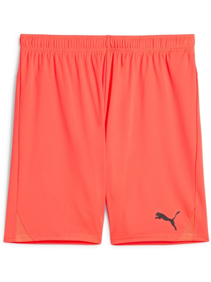 

Спортивные шорты TeamGoal Shorts оранжевого цвета Puma