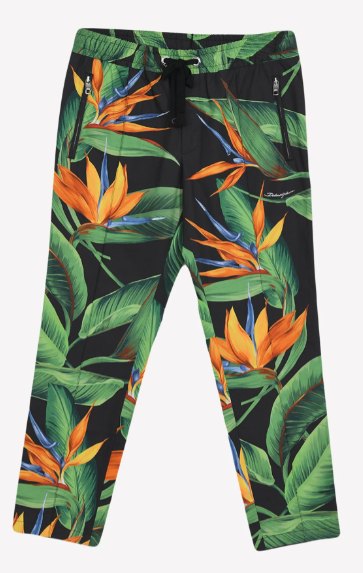 

Спортивные брюки Floral Extravaganza Dolce & Gabbana, мультиколор