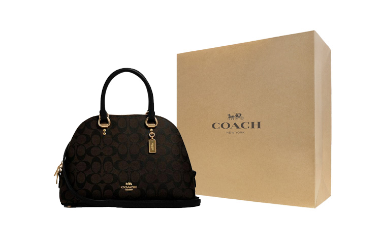

COACH Кожаный куполообразный рюкзак портативная сумка через плечо наплечная сумка стандартная женская темно-коричневая